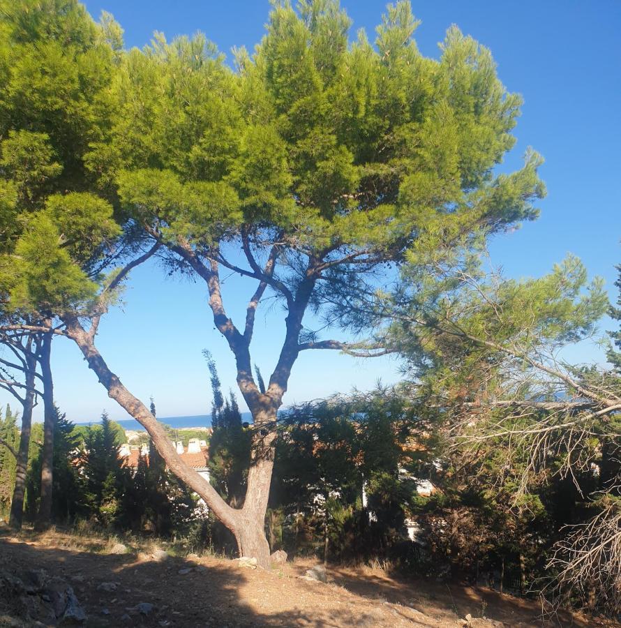 T2 Vue Mer Avec Parking Prive Saint-Pierre-la-Mer  エクステリア 写真